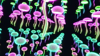 Astral Jellyfish Bloom